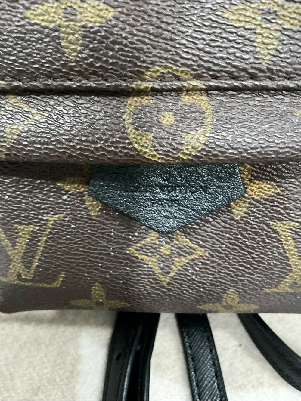 Louis Vuitton Monogram Palm Springs Backpack